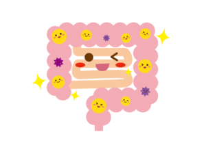 きれいな腸のイラスト